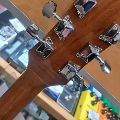 Epiphone - DR100NACH 2